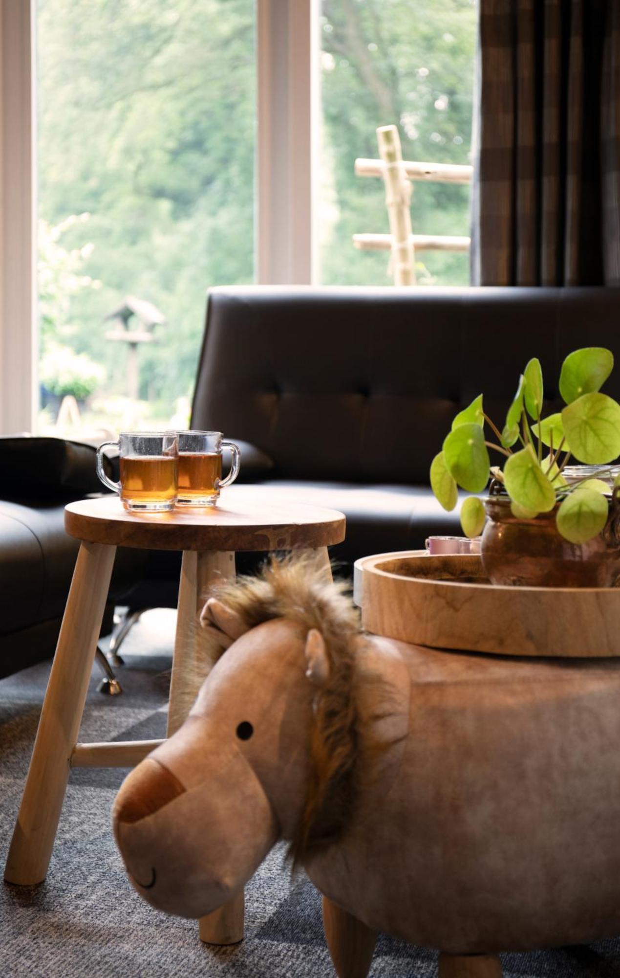 Buitenverblijf Het Grootenhuis Winterswijk Henxel Extérieur photo